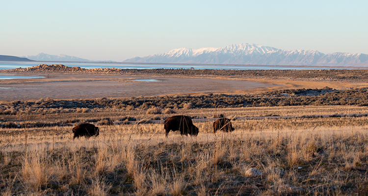 03132024-great_salt_lake_story-_0012
