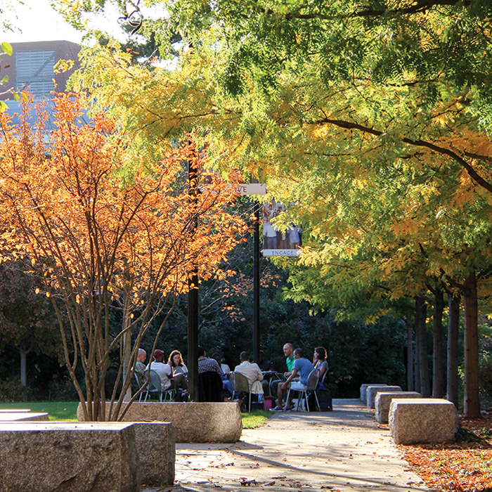 autumn foliage on campus