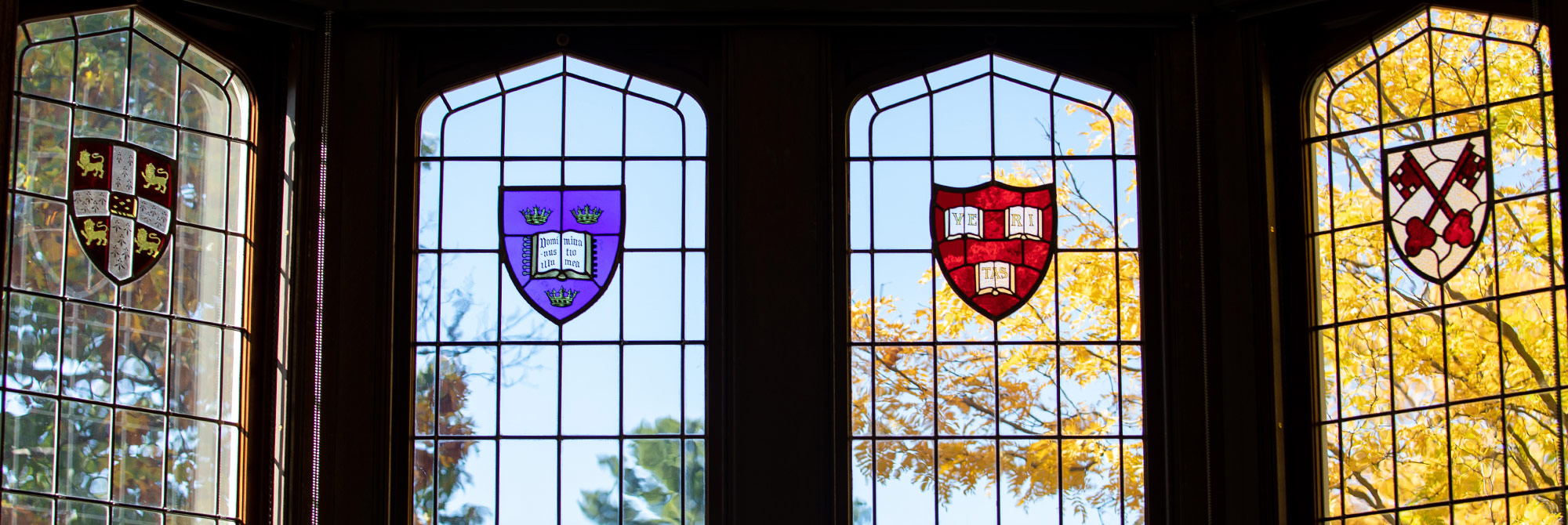 Blue skies and yellow leaves seen through stained glass windows