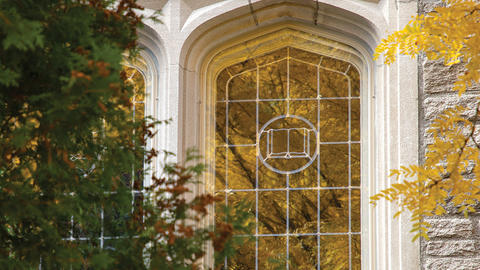 Autumn leaves reflected in a window