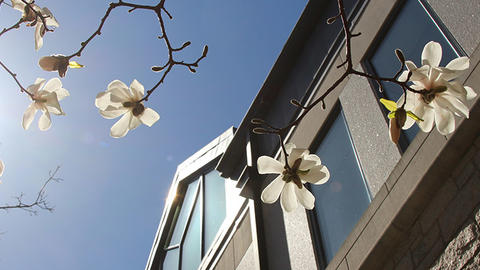 Sunshine reflecting off of the HDS Library