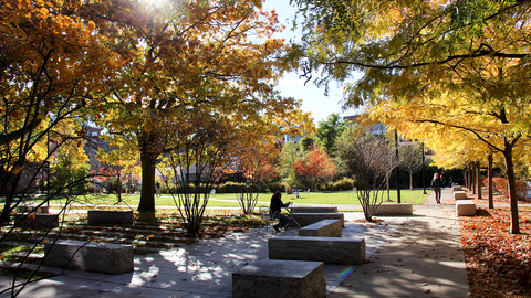 The HDS campus in fall. The leaves are turning, light is moving through the trees and one student sits at a table.