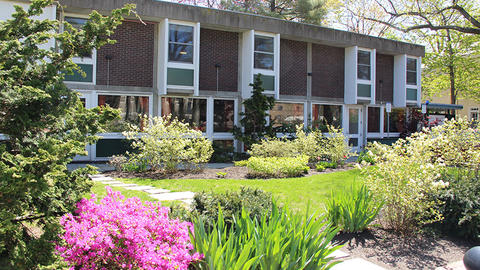 Spring flowers blooming in the CSWR courtyard
