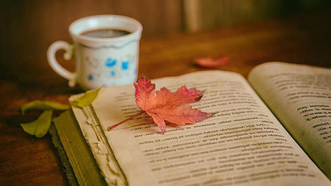 Fall leaf on open book