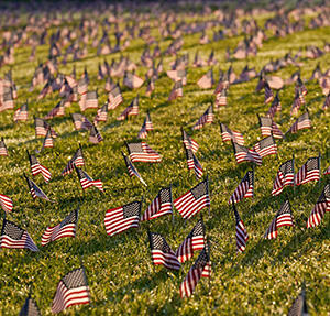 American flags in the ground / AP Photo/J. Scott Applewhite
