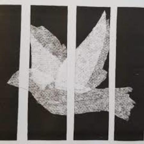 illustration of dove behind bars