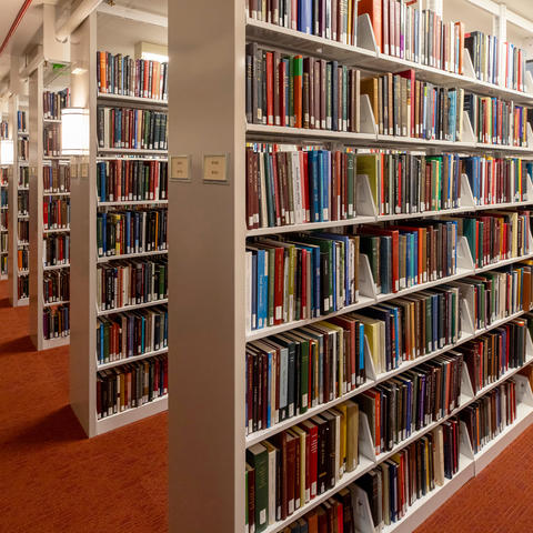 Library stacks