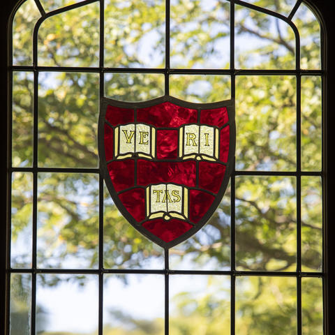 Stained glass seal with word Vertias
