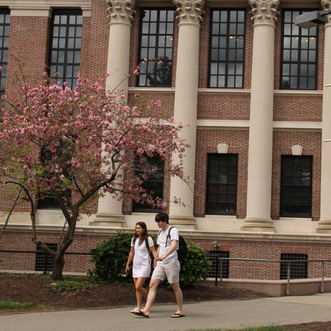 Two people walking through Harvard Yard