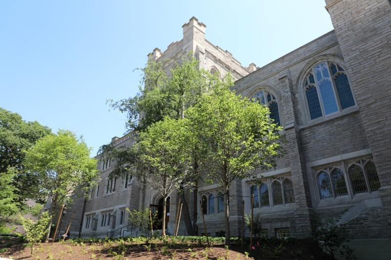 Swartz Hall knoll