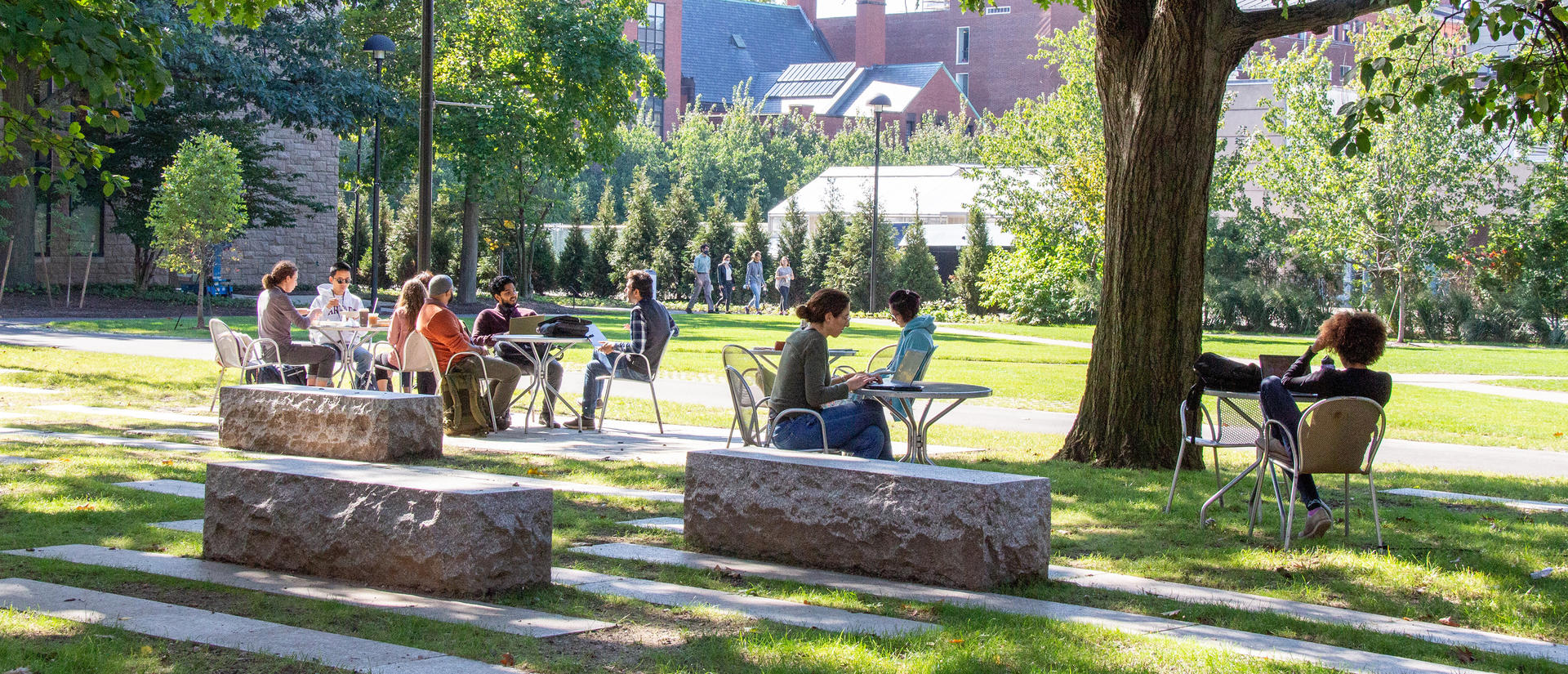 HDS Students studying outside