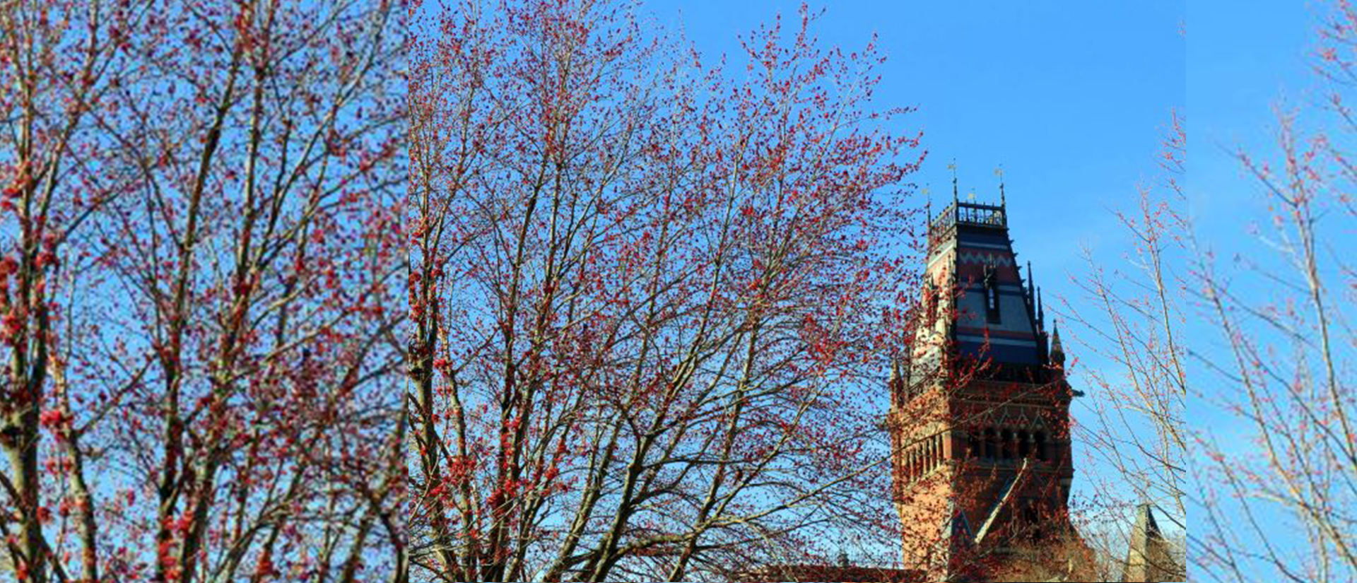 A photo of Annenberg Hall with foliage 
