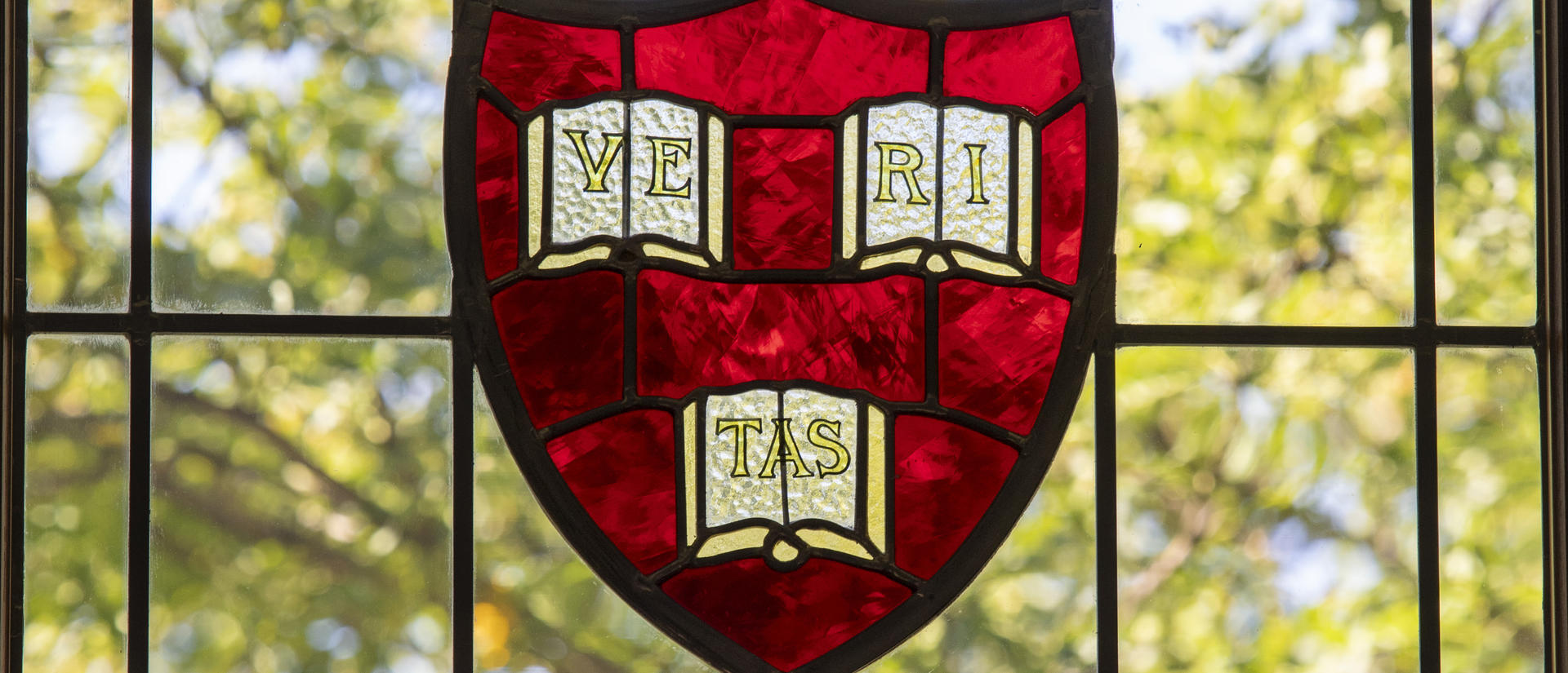 Harvard Shield