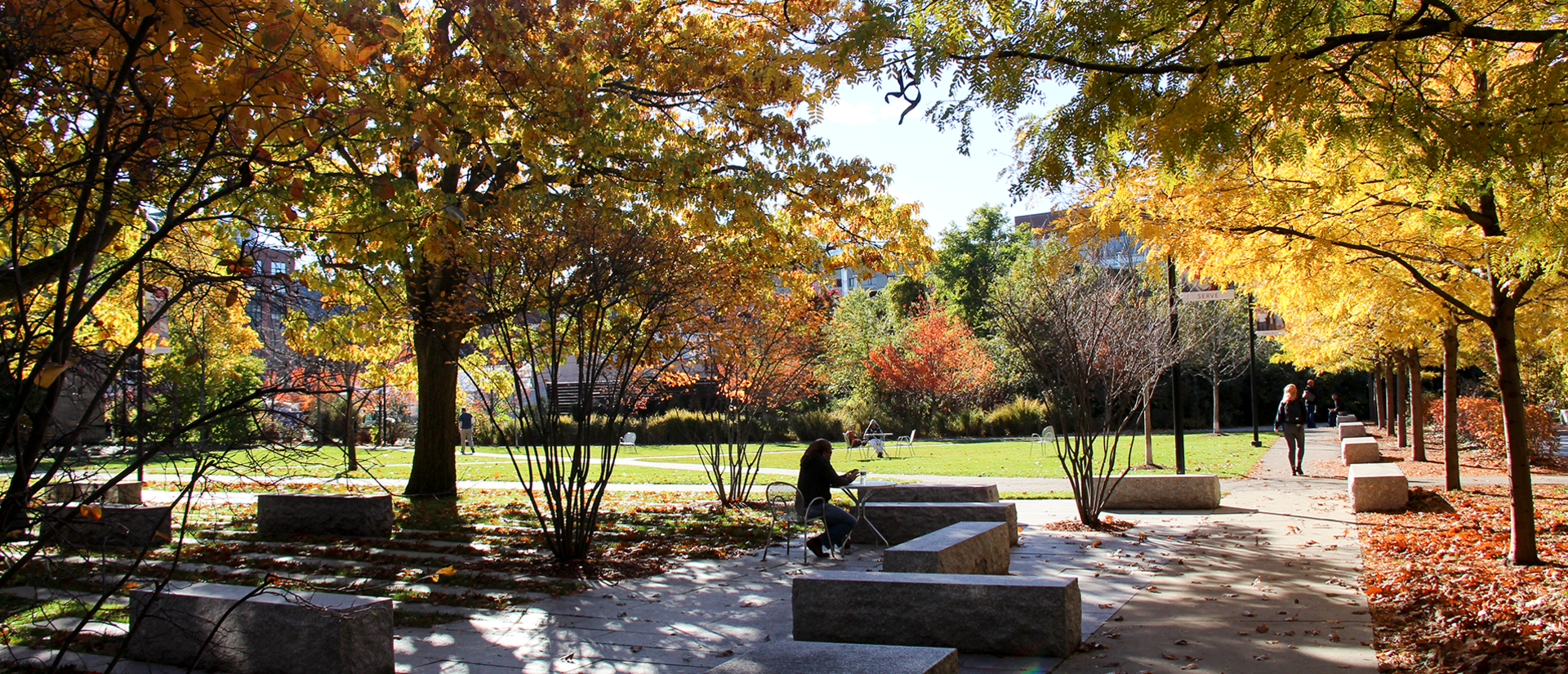 The HDS campus in fall. The leaves are turning, light is moving through the trees and one student sits at a table.