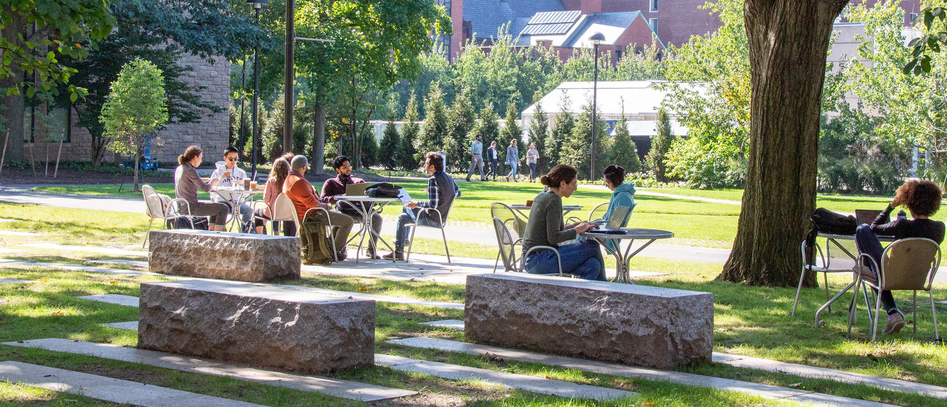 HDS students studying on the campus green