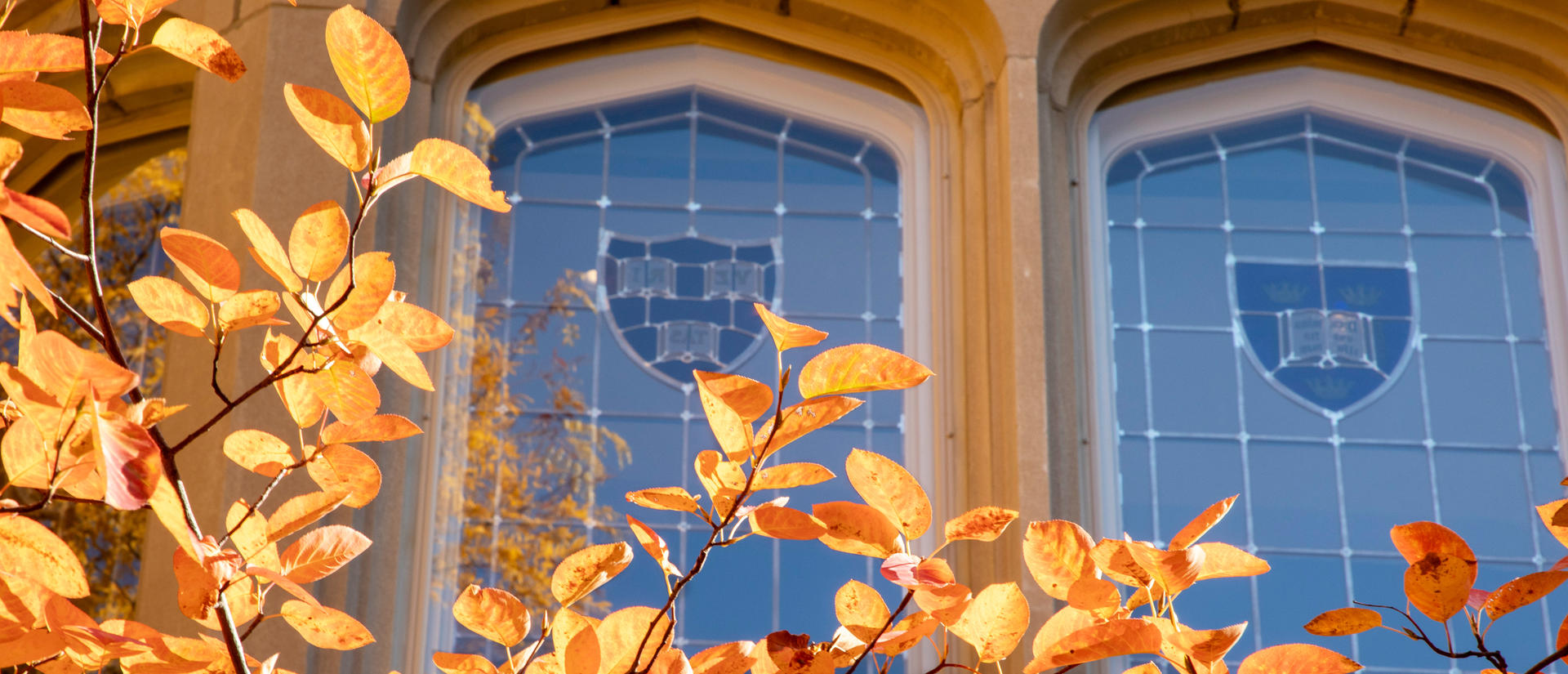 Swartz Hall windows and autumn leaves