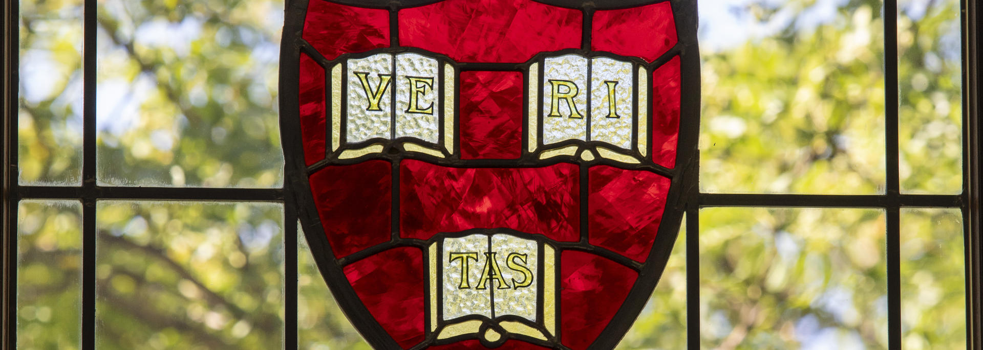 Harvard Shield