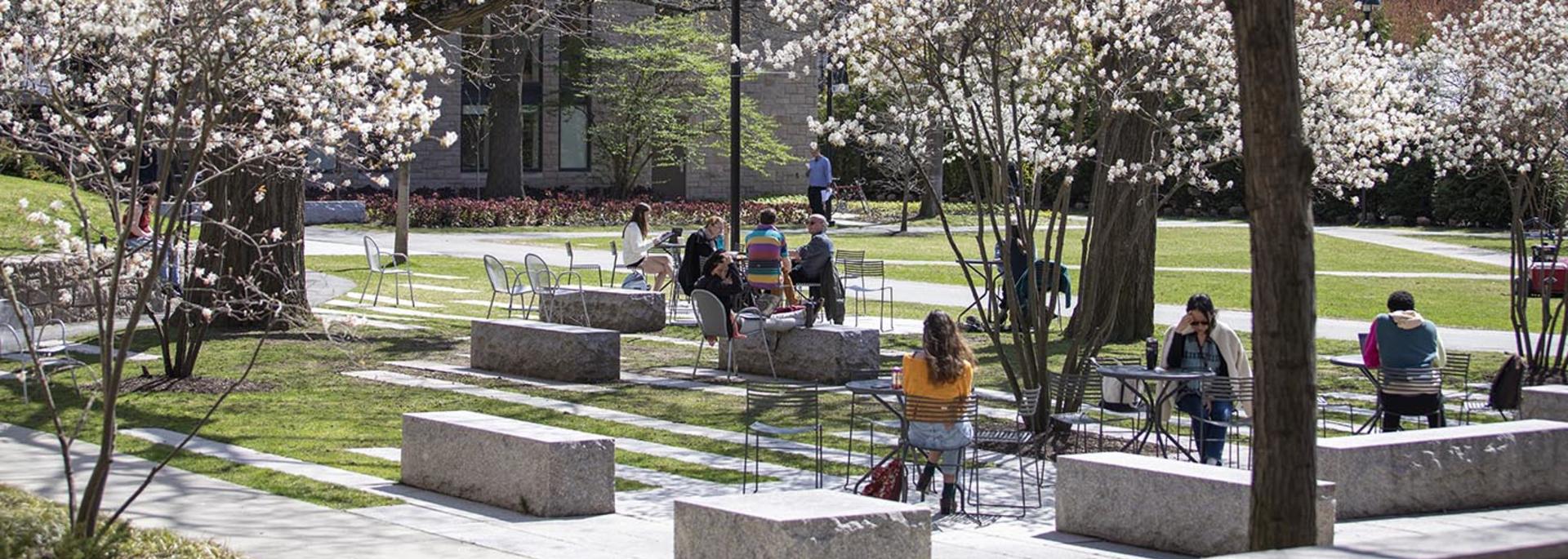 HDS campus green in spring