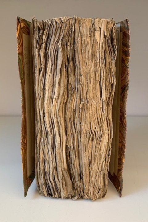 View of page edges on a book